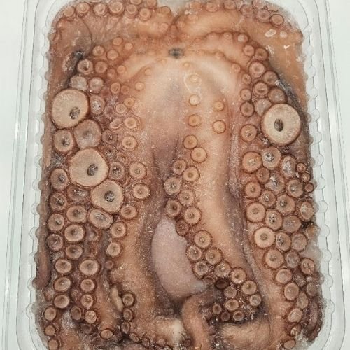 Pulpo crudo (entero, en bandeja)