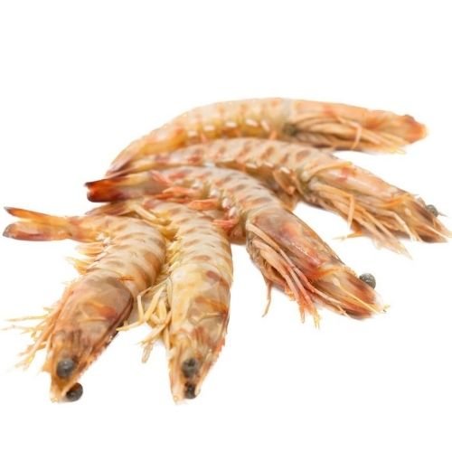 Langostino tigre